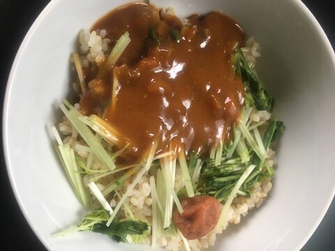 水菜と玄米でアレンジカレー